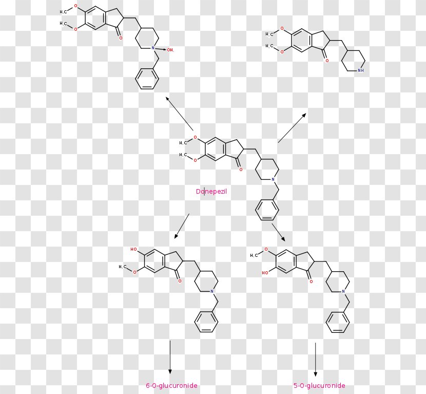 Acetylcholinesterase Butyrylcholinesterase Ferric Chloride Test Cholinergic - Chemical Compound - Metabolism Remixes Transparent PNG