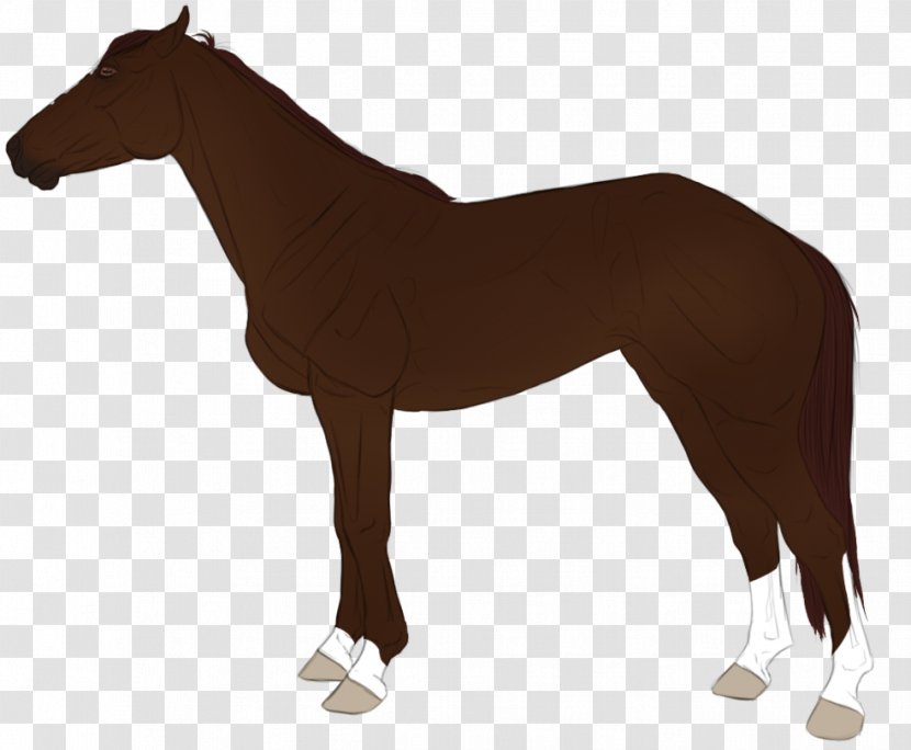 Mustang Foal Stallion Rein English Riding - Horse Supplies Transparent PNG