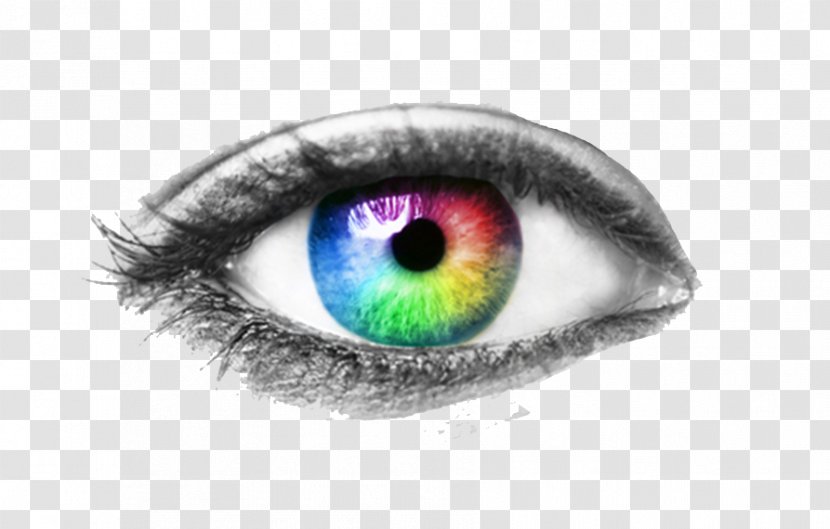 Human Eye Examination Visual Perception - Silhouette Transparent PNG