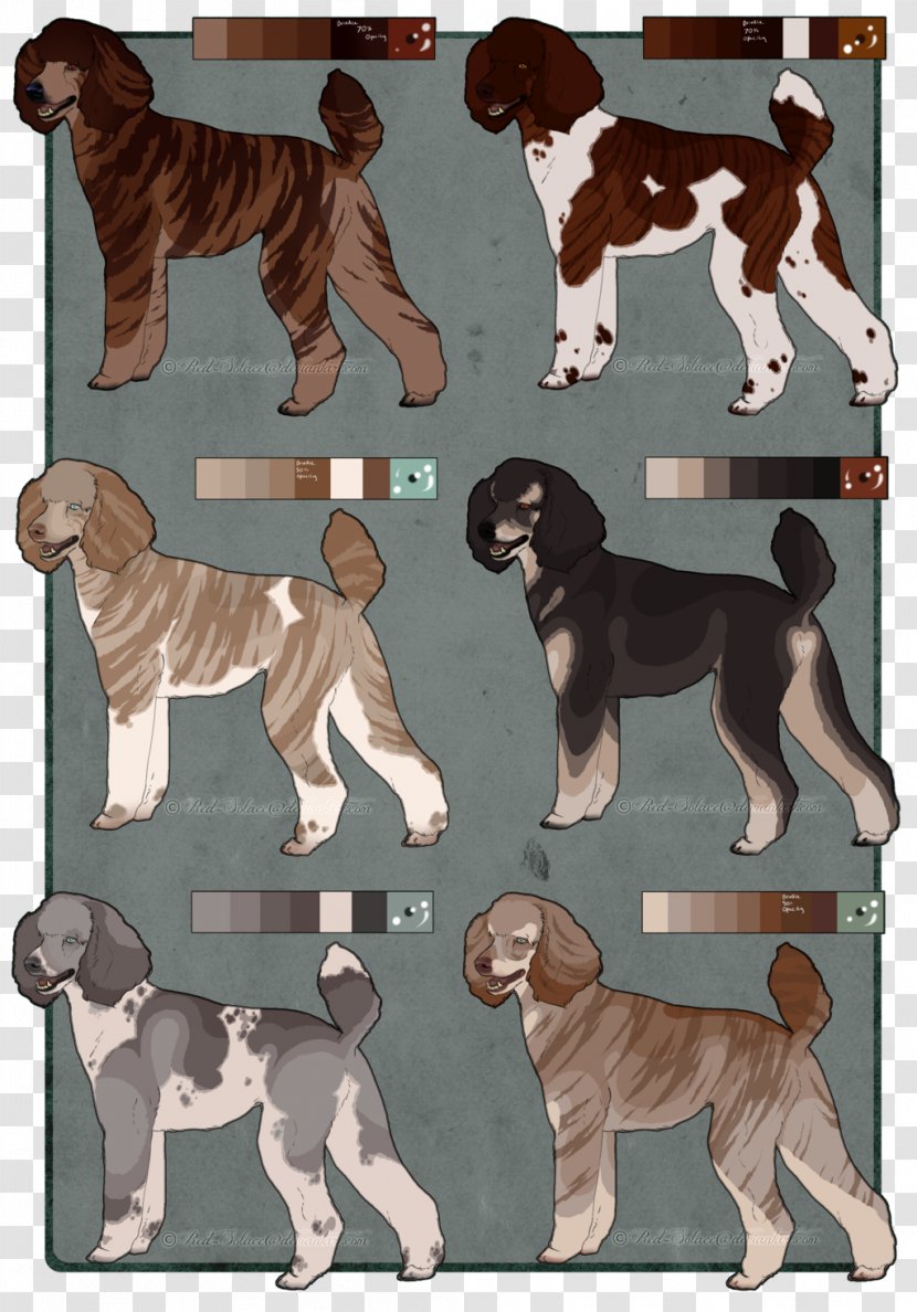 Dog Breed Sporting Group Crossbreed - Standard Poodle Transparent PNG