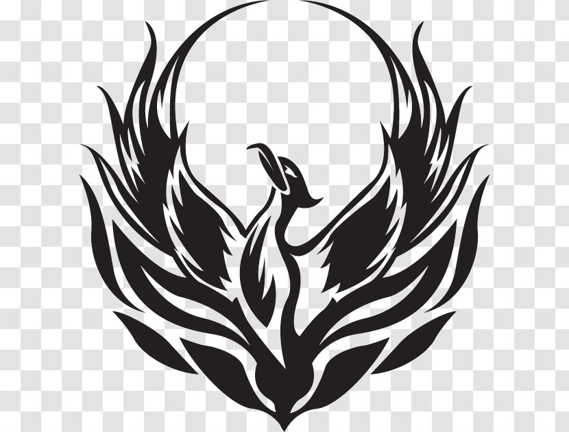Clip Art Phoenix Logo Drawing - Ducks Geese And Swans - Symbol Icon Transparent PNG