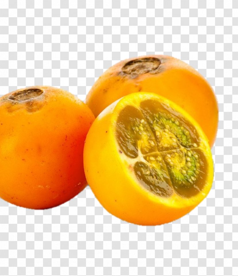 Citrus Naranjilla Juice Vesicles Fruit Vegetarian Cuisine - Puree Transparent PNG