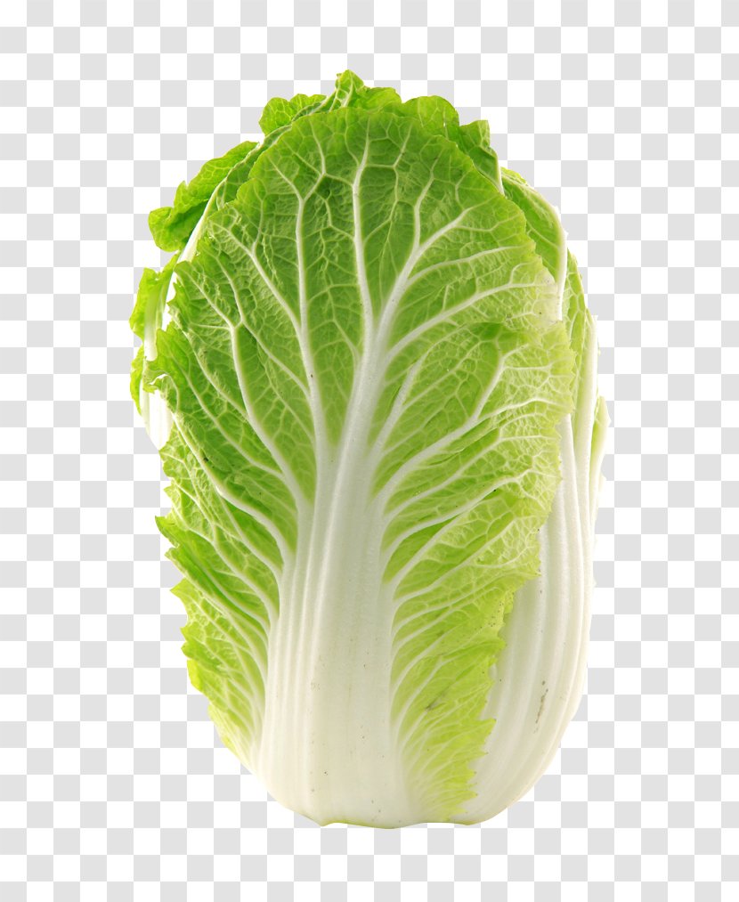 Napa Cabbage Vegetable Chinese Glebionis Coronaria Seed - Eating Transparent PNG