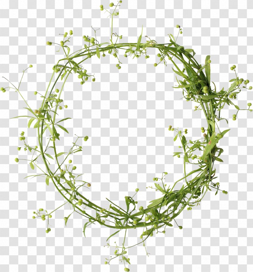 Wreath Clip Art - Plant - Parsley Transparent PNG