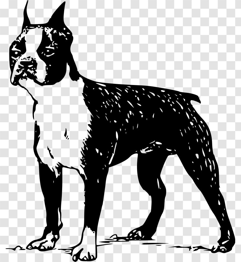 Boston Terrier French Bulldog Puppy Clip Art - Black And White - Cartoon Bull Transparent PNG