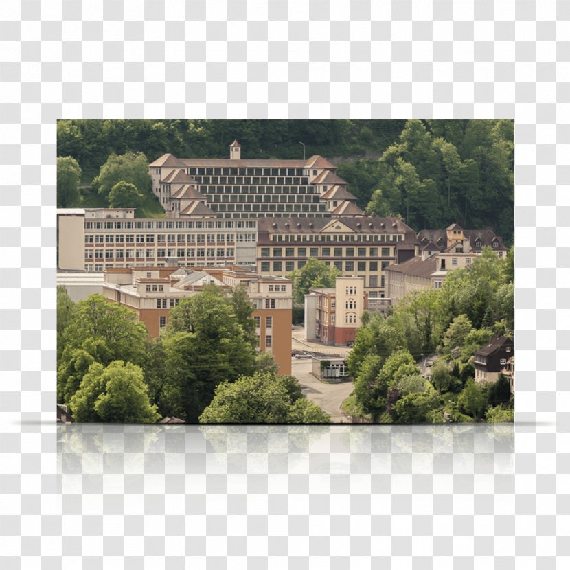 Schramberg German Clock Museum Road Junghans - Black Forest Transparent PNG