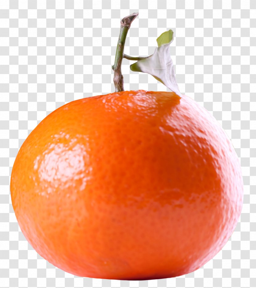 Tangerine Orange Tangelo Fruit - Clementine - Citrus Transparent PNG