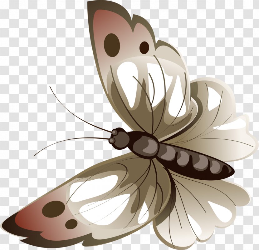 Butterfly Luna Moth Drawing Clip Art - Watercolor Transparent PNG