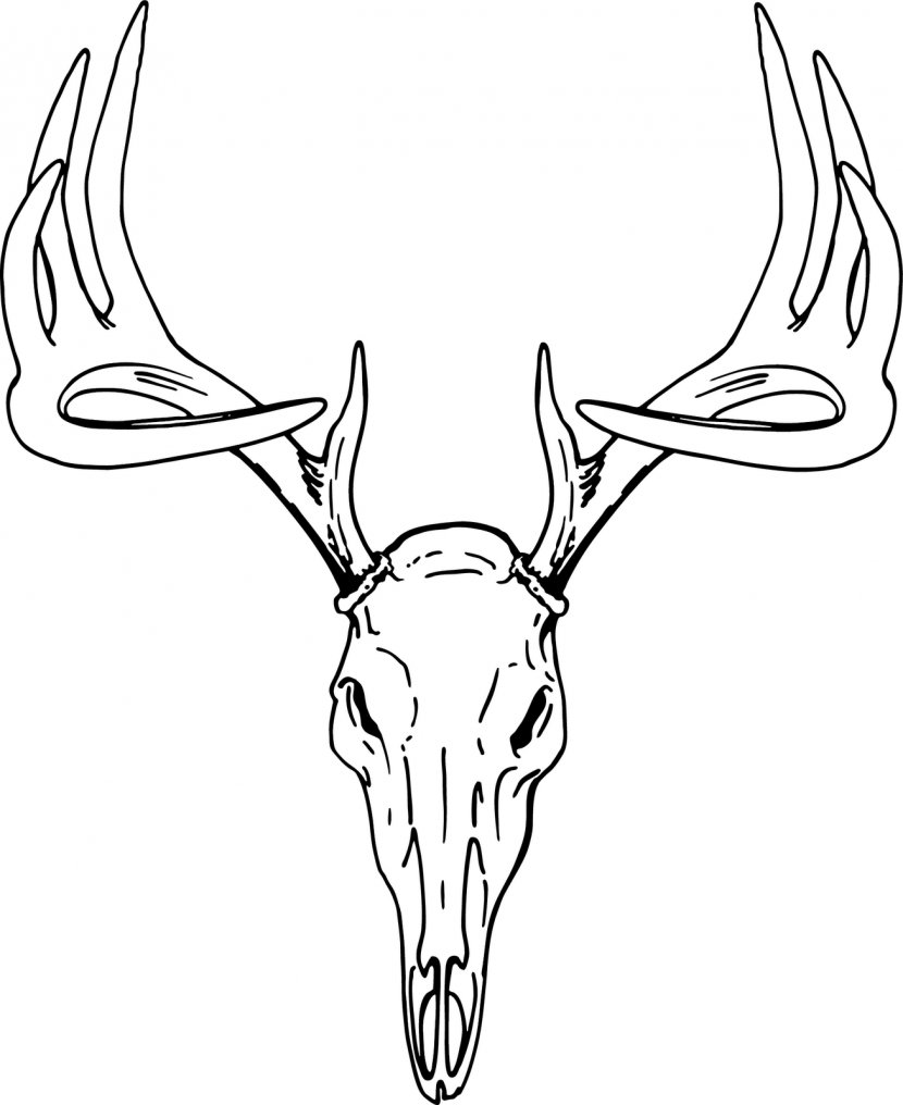 White-tailed Deer Elk Red Clip Art - Wing - Reindeer Tracks Cliparts Transparent PNG