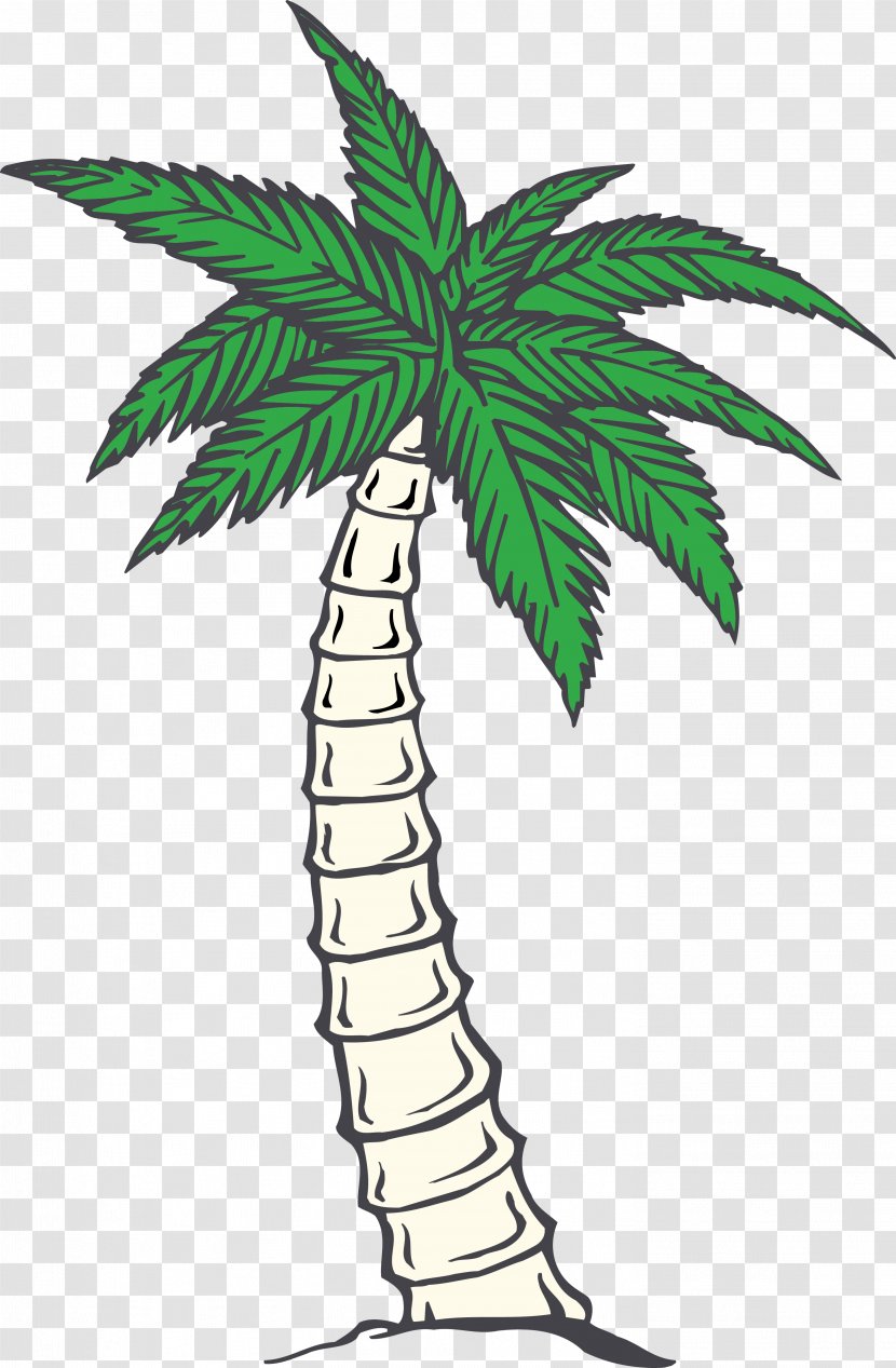 Palm Trees Coconut Nata De Coco Image GIF - Plant Stem Transparent PNG