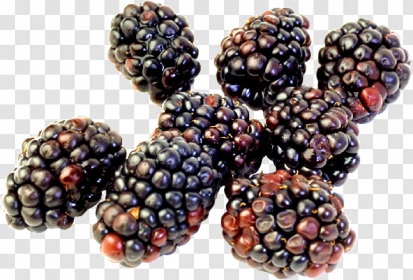 Longman Dictionary Of Contemporary English Blackberry Food Rubus Laciniatus - Raspberry Transparent PNG