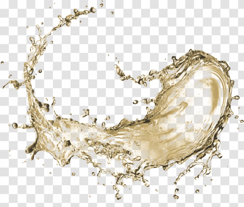 Organism Water Electrolyte Drawing - Cholera Transparent PNG