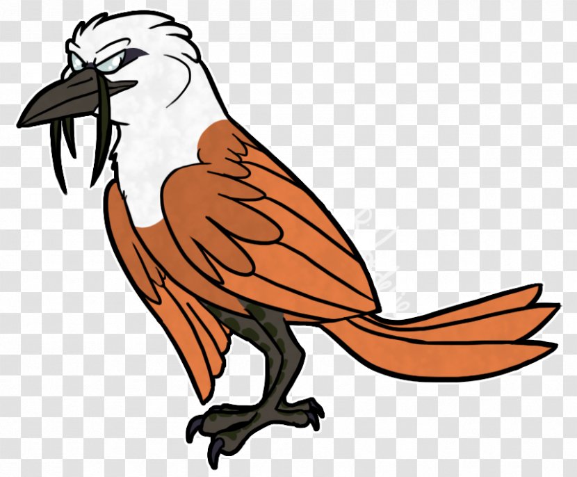 Three-wattled Bellbird Drawing Cartoon - Bird Transparent PNG