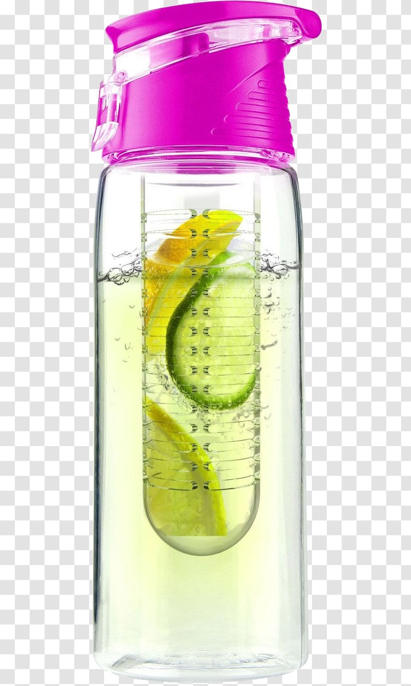 Infusion Flavor Water Bottles Infuser - Herb - Fruit In Transparent PNG