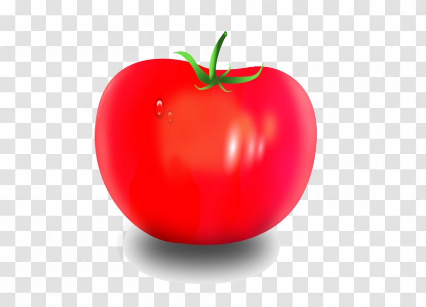 Tomato Diet Food Apple Natural Foods - Local - Fruit Painted 3d Image Vector Transparent PNG
