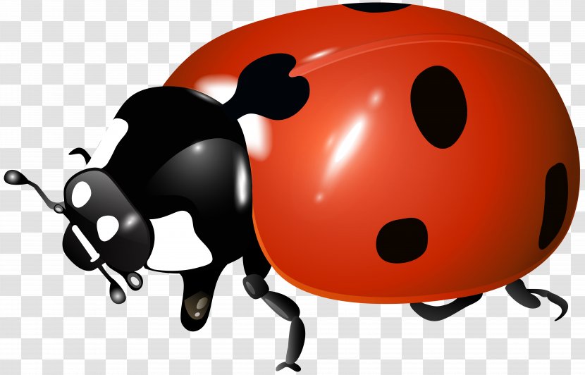 Ladybird Beetle Clip Art Image - Orange Transparent PNG