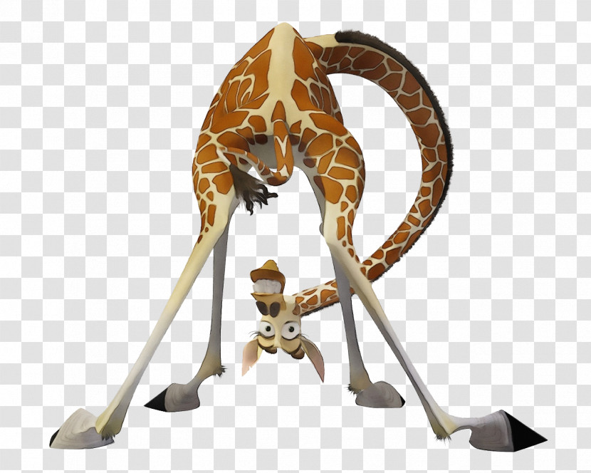 Giraffe Animal Figure Giraffidae Transparent PNG