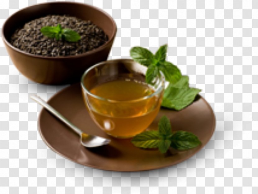 Green Tea Coffee Espresso Flowering - Set - Leaves Transparent PNG
