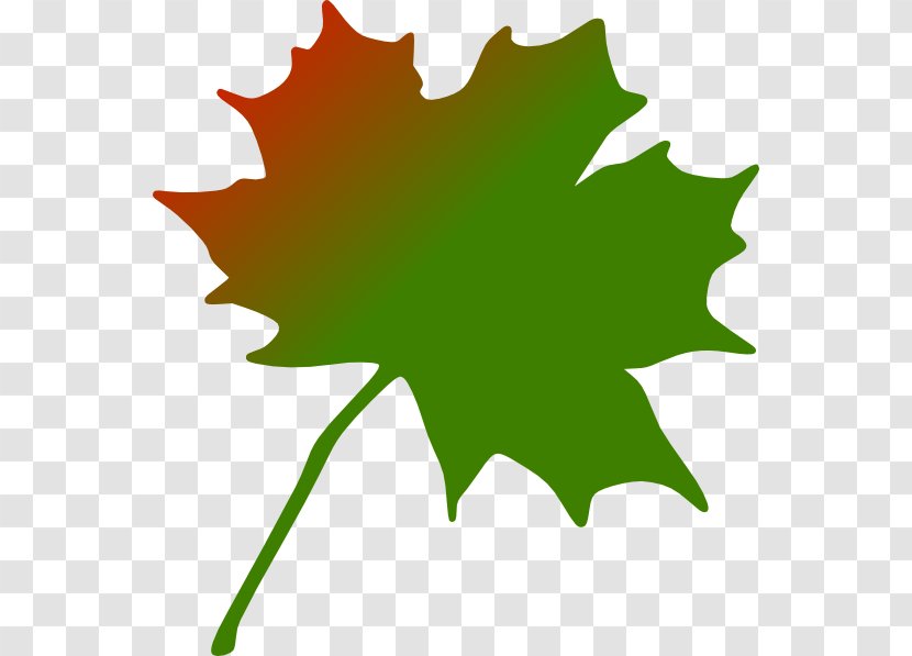 Maple Leaf Canada Clip Art - Flowering Plant Transparent PNG