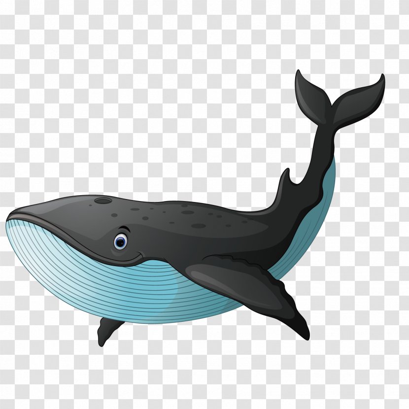 Black Whale - Photography - Dolphin Transparent PNG