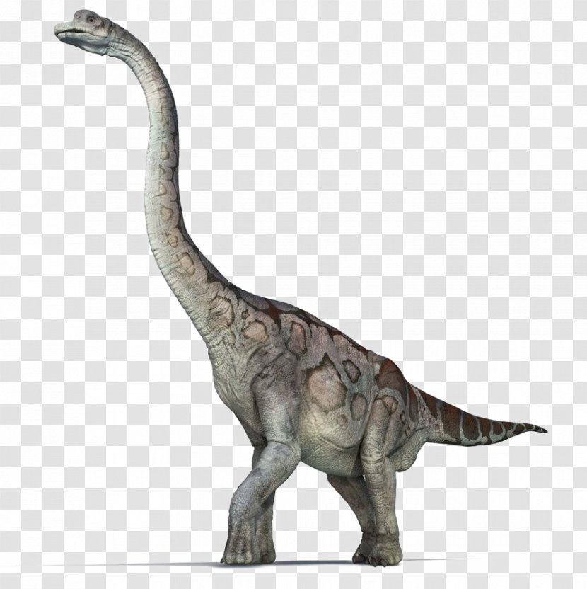 Brachiosaurus Sauropoda Dinosaur Reptile Jurassic Park - Operation Genesis Transparent PNG