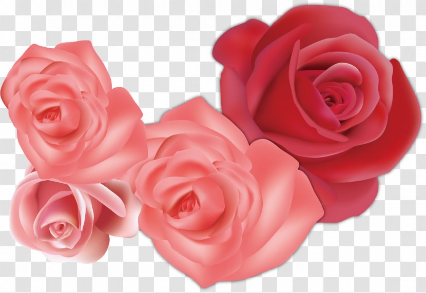 Garden Roses Beach Rose Flower Euclidean Vector - Floral Design - Creative Pink Sea Transparent PNG