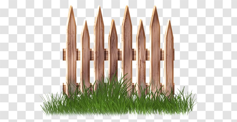 Grass Lawn Plant Fence Vascular Transparent PNG