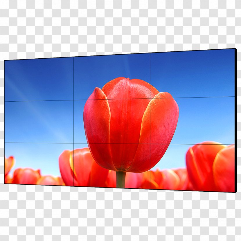 Computer Monitors Liquid-crystal Display Video Wall Device 1080p - Highdefinition - Hd Brilliant Light Fig. Transparent PNG