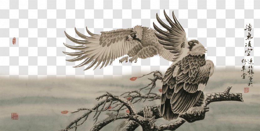 U5de5u7b14u9e70u6280u6cd5 Ink Wash Painting - Fauna - Eagle Transparent PNG