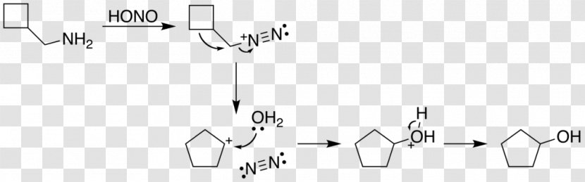 Demjanov Rearrangement Name Reaction Chemical Organic Chemistry - Tree - Flower Transparent PNG