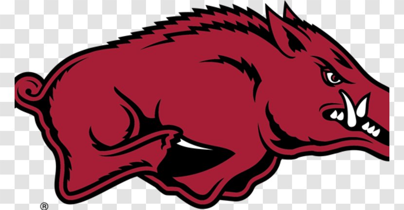 Arkansas Razorbacks Men's Basketball Football University Of College World Series Baseball - Cartoon - American Transparent PNG