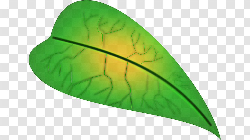Leaf Green Plant Structure Science Biology Transparent PNG