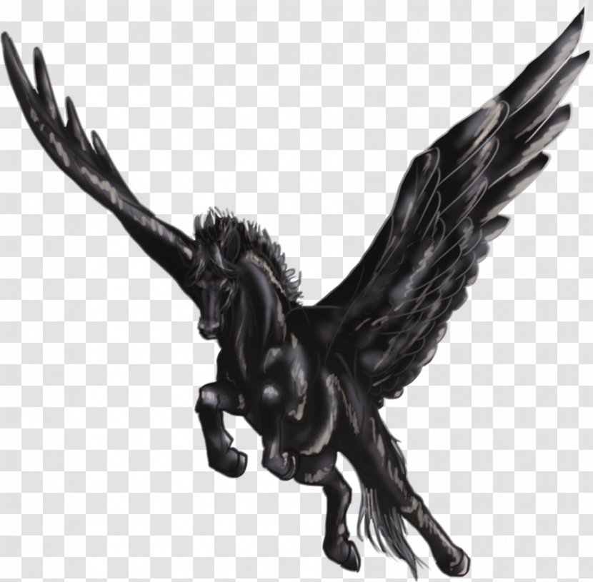 Pegasus Icon - Gorgon Transparent PNG