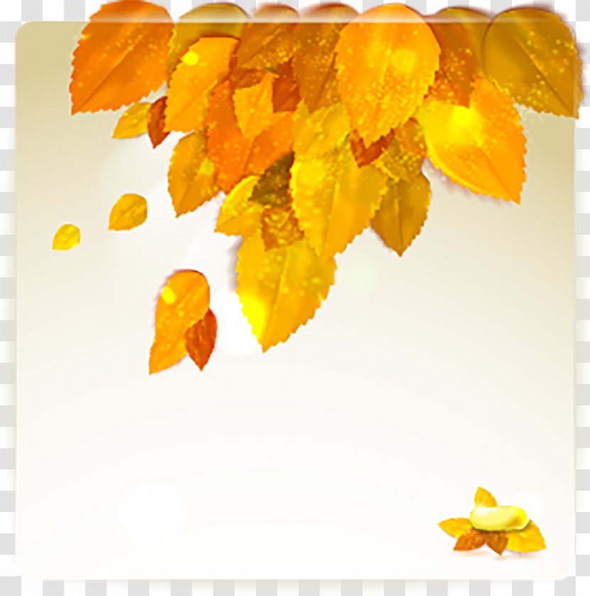 Autumn - Leaf - Vector Sprinkle Golden Yellow Leaves Transparent PNG