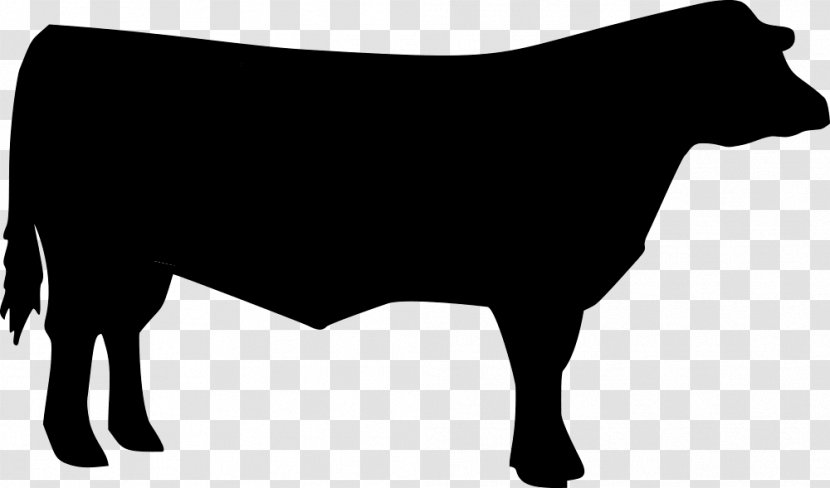 Cattle Clip Art 4-H Livestock Vector Graphics - Animal Silhouettes - Mane Transparent PNG
