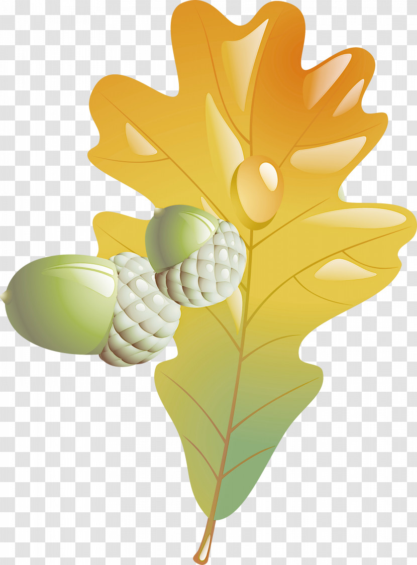 Leaf Yellow Plant Flower Tree Transparent PNG