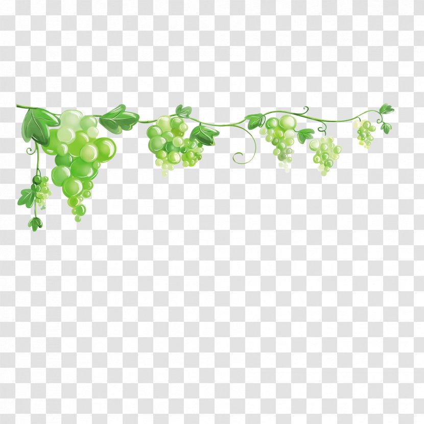 Grape Clip Art - Green Transparent PNG
