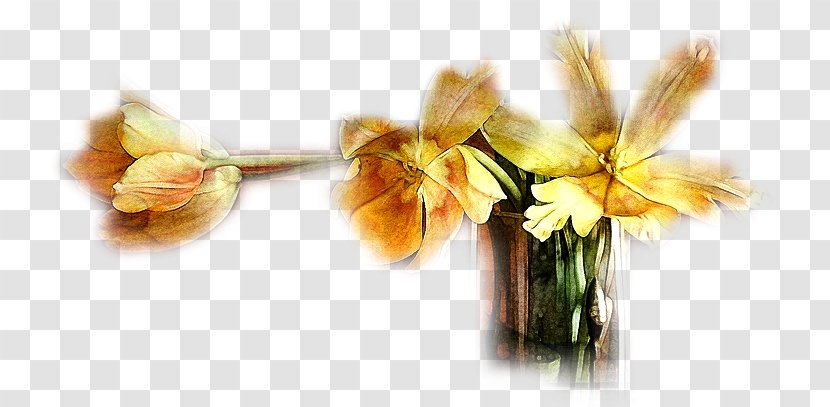 Cut Flowers Flower Bouquet Floral Design Vase - Social Media Transparent PNG