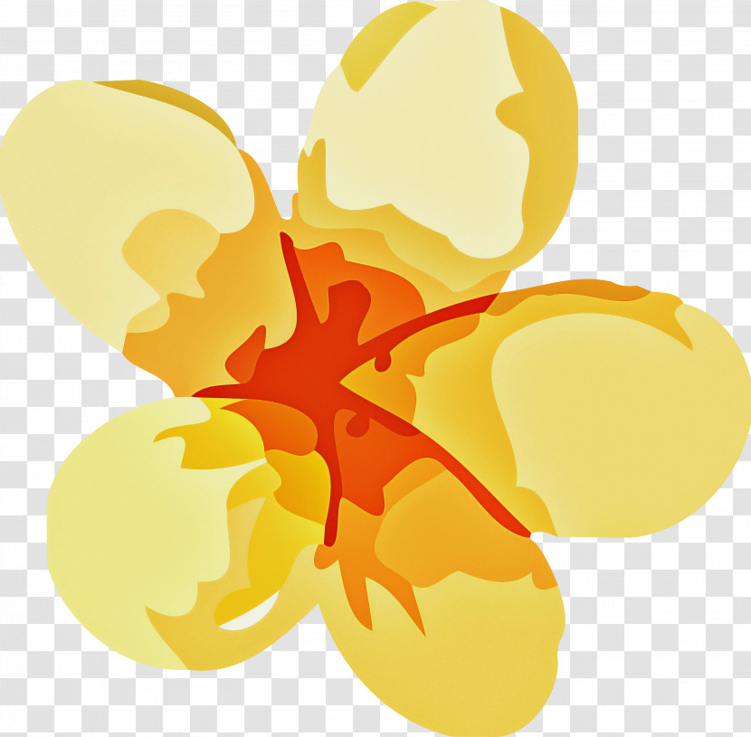 Insect Leaf Yellow Petal Commodity Transparent PNG