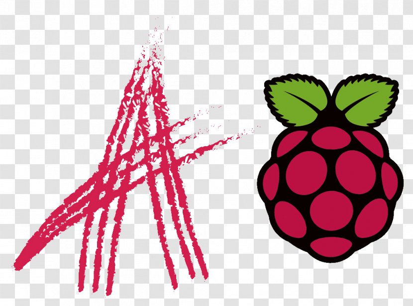 Raspberry Pi MQTT Raspbian Computer Software - Mqtt - Raspberries Transparent PNG