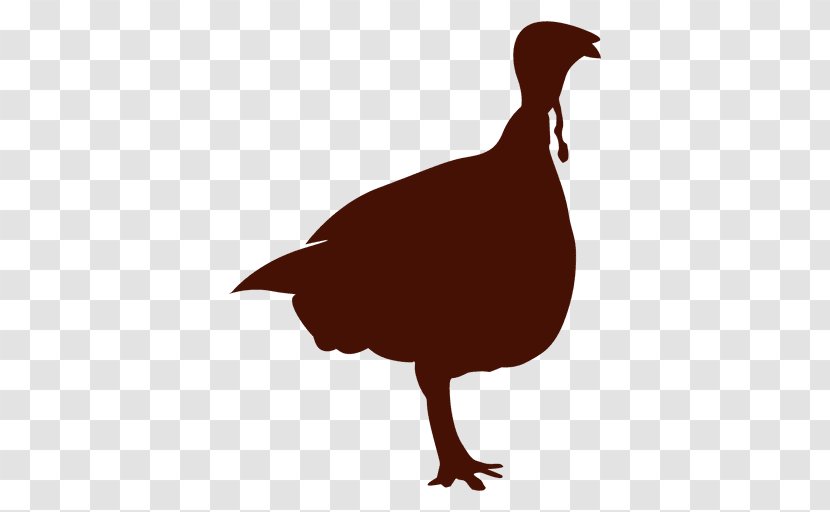 Duck Turkey Hunting Thanksgiving Day Clip Art - Bird Transparent PNG
