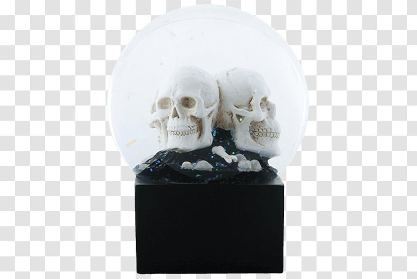 Skull Human Skeleton Millimeter - Bone - Water Party Transparent PNG