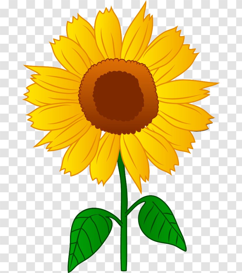 Clip Art Free Content Image Line - Common Sunflower - Drawing Flowering Plant Transparent PNG