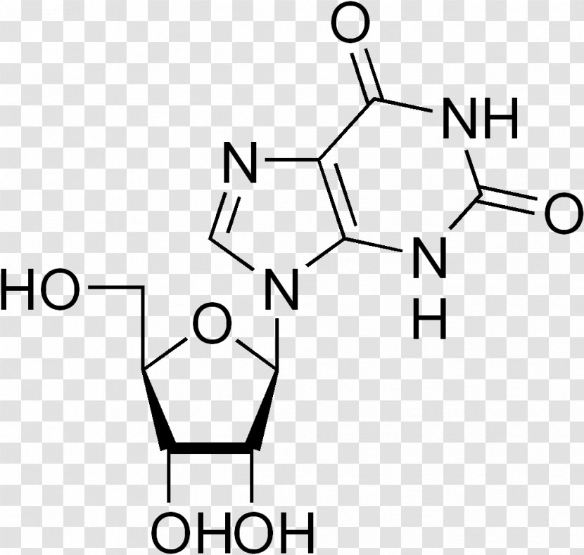 RNA DNA Nucleotide Adenine Uracil - Silhouette - Haworth Projection Transparent PNG