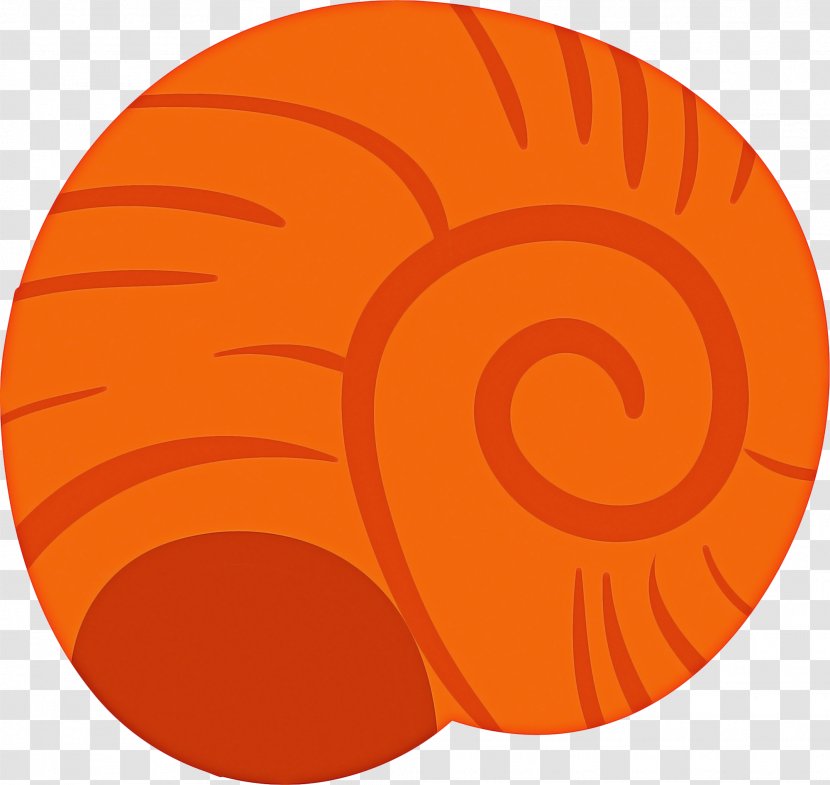 Color Background - Gastropod Shell - Spiral Transparent PNG