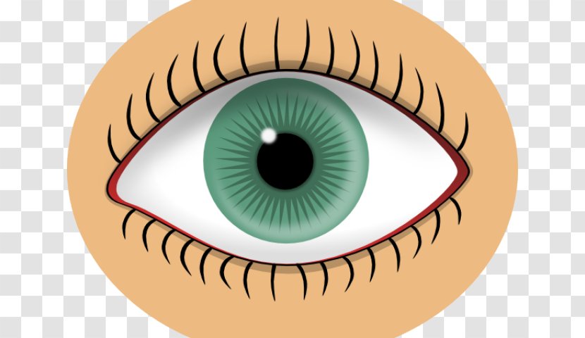Clip Art Human Eye Image Vector Graphics - Frame - Lunch Money Scenes Transparent PNG