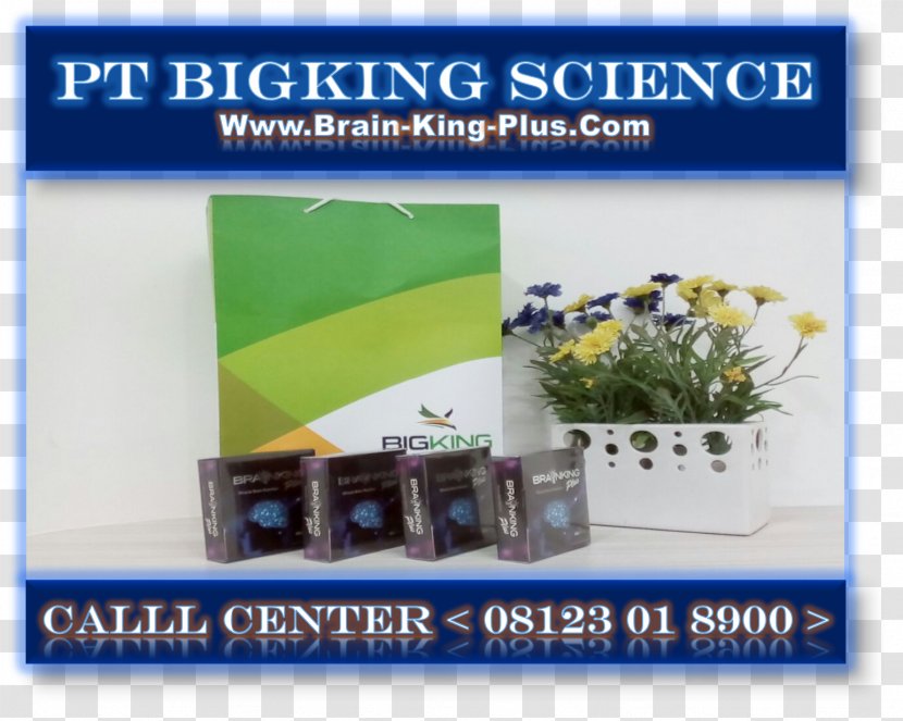 BRAINKING PLUS INDONESIA Nutrition Nerve Science - SURABAYA Transparent PNG