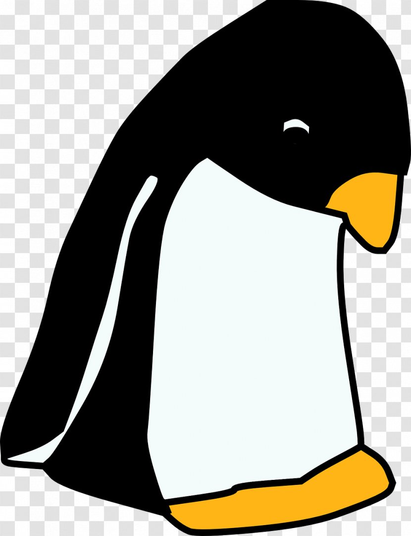 Penguin Drawing Cartoon Clip Art - Organism Transparent PNG