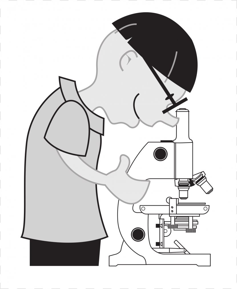 Optical Microscope Diagram Worksheet Clip Art - Heart - Scientist Transparent PNG