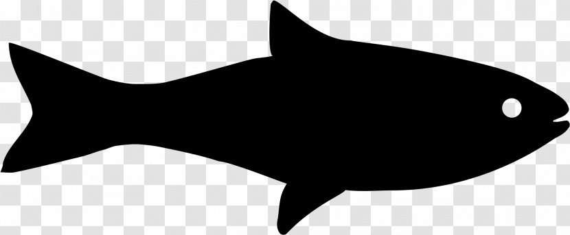 Fish Cartoon - Fin - Tail Transparent PNG